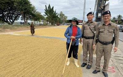 ประชาสัมพันธ์ ให้คำแนะนำกับชาวบ้านเกี่ยวกับการตากข้าว